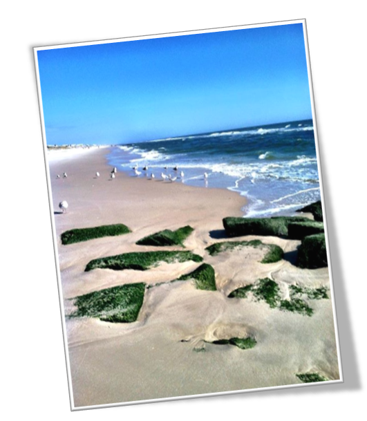 Rentals in the Southern Ocean Real Estate Market | LBI Summer Rentals | Year Round Rentals